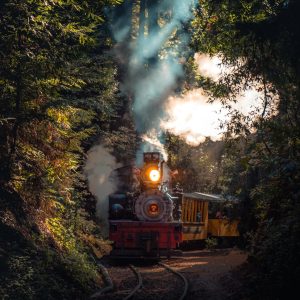 découvrir le Train des Merveilles et son parcours pittoresque