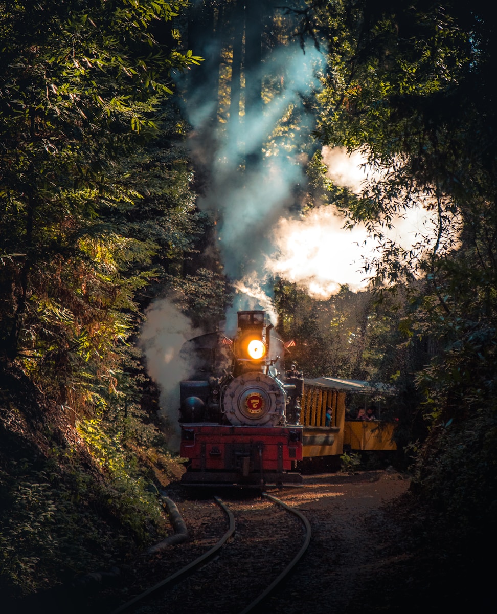 découvrir le Train des Merveilles et son parcours pittoresque
